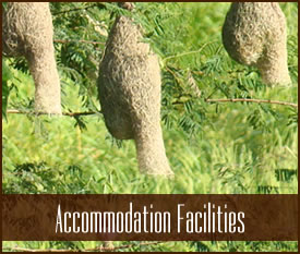 Accommodation Facilities